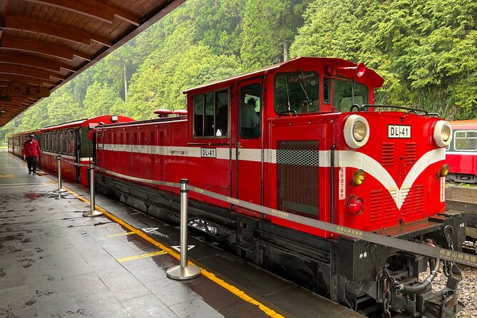 Alishan Day Tour from Chiayi (Incl. Park Entrance) - Four hours among ancient trees and mountain air
