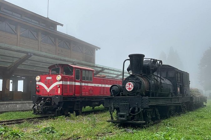 Alishan Day Tour from Chiayi (Incl. Park Entrance) - Food, souvenirs, and time inside the park