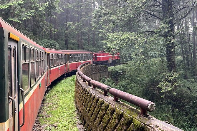 Alishan Day Tour from Chiayi (Incl. Park Entrance) - The winding road up to Alishan