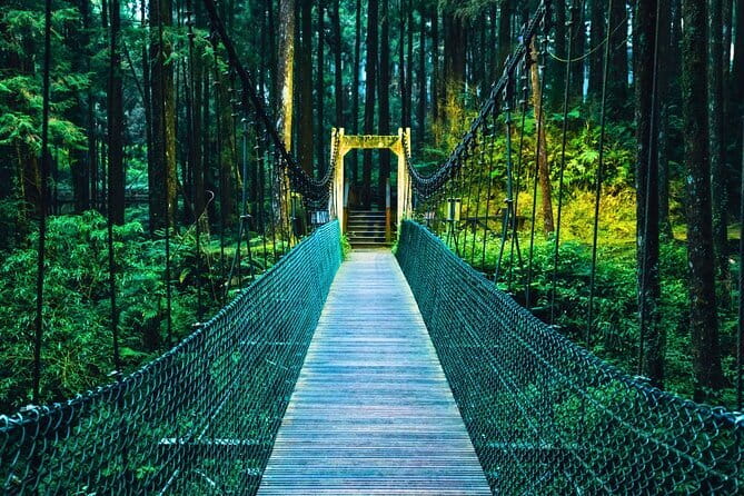 Alishan Join In Day Tour from Taichung (Incl. Park Entrance) - Key points before you book