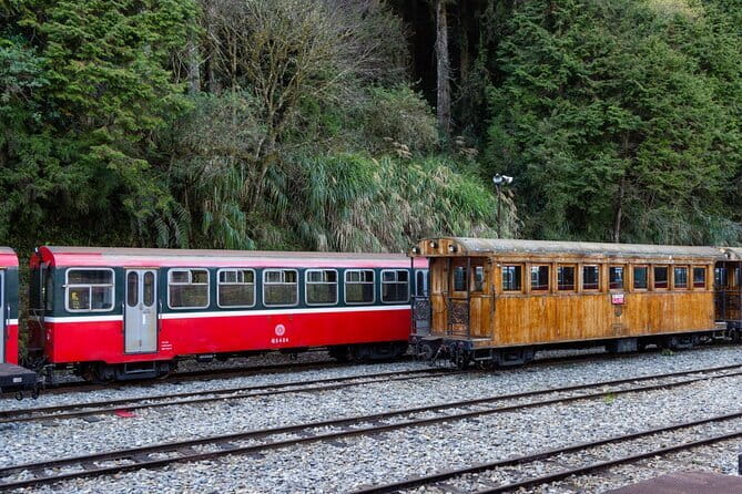 Alishan Join In Day Tour from Taichung (Incl. Park Entrance) - Why Alishan is worth the long ride from Taichung