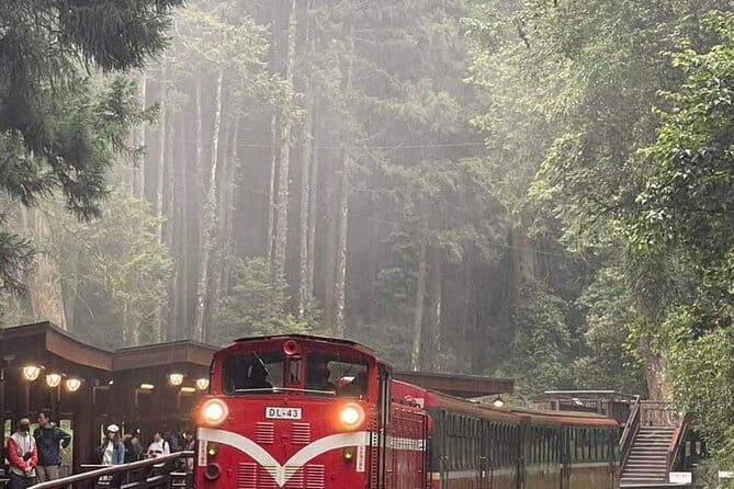 Alishan One Day Tour from Taichung - Why Alishan makes a long day from Taichung worthwhile
