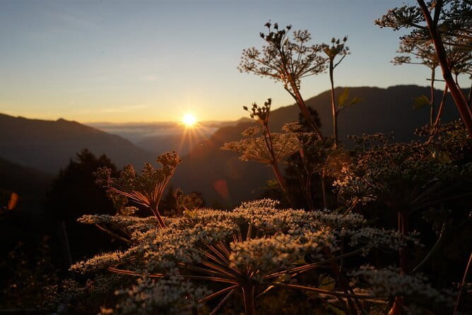 Alishan One Day Tour from Taichung - Fenqihu Old Street and the old railway town