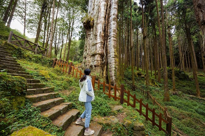 Alishan Taiwan 2 Day Private Tour from Taipei - Why two days makes Alishan easier