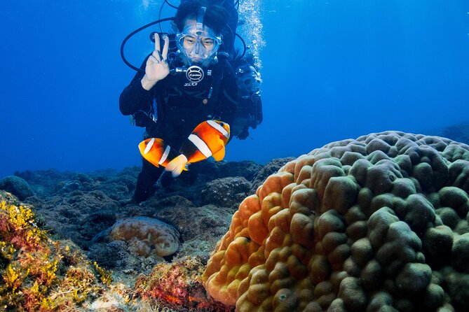 Discover Scuba Diving With Sea Turtles – Xiaoliuqiu, Taiwan - Why Xiaoliuqiu is special for a first underwater experience