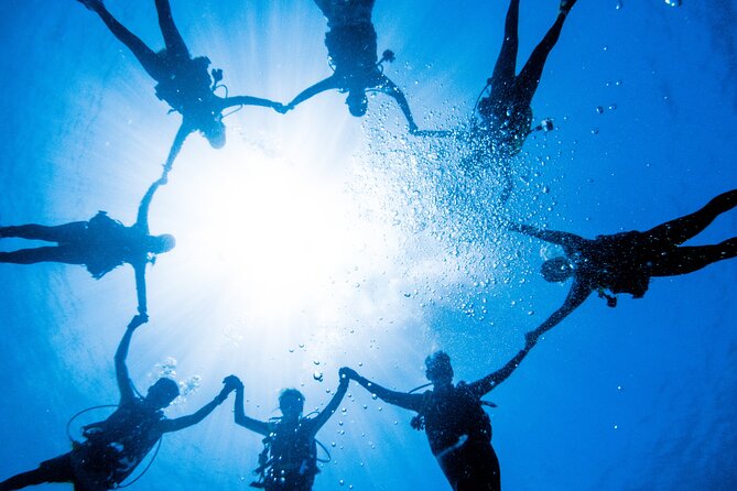 Discover Scuba Diving With Sea Turtles – Xiaoliuqiu, Taiwan - Meeting the green sea turtles underwater