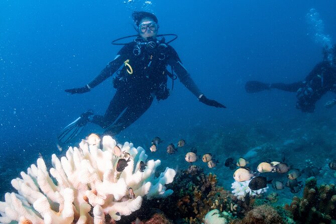 Discover Scuba Diving With Sea Turtles – Xiaoliuqiu, Taiwan - Underwater photos and the visibility trade-off