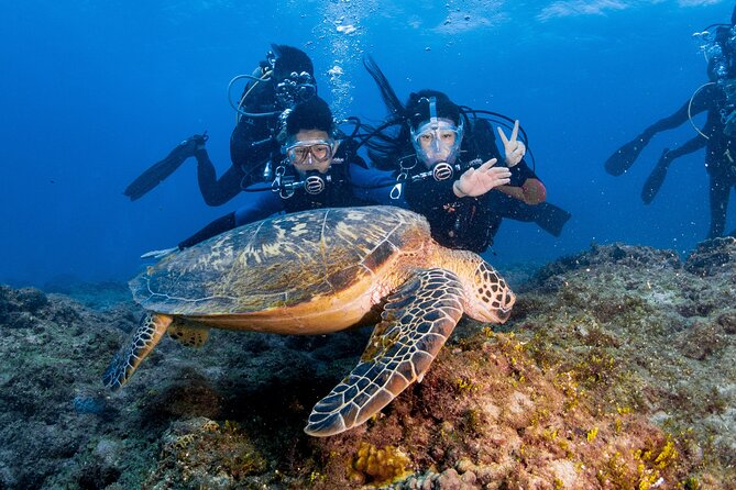 Discover Scuba Diving With Sea Turtles – Xiaoliuqiu, Taiwan - Who will get the most from this activity