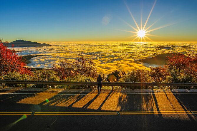 Exclusive 3-Day Sun Moon Lake & Alishan Private Tour - Key things to know before booking