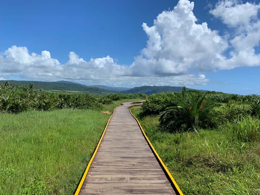 From Kaohsiung: Kenting & Ocean Coast Private Day Tour - Why this Kenting day trip works from Kaohsiung