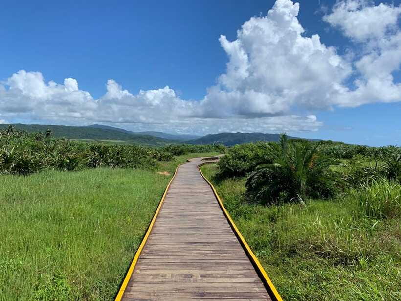 From Kaohsiung: Kenting & Ocean Coast Private Day Tour - Timing, comfort, and physical demands