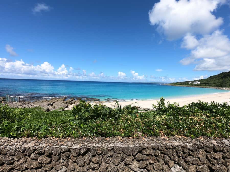 From Kaohsiung: Kenting & Ocean Coast Private Day Tour - The marine museum sets the tone