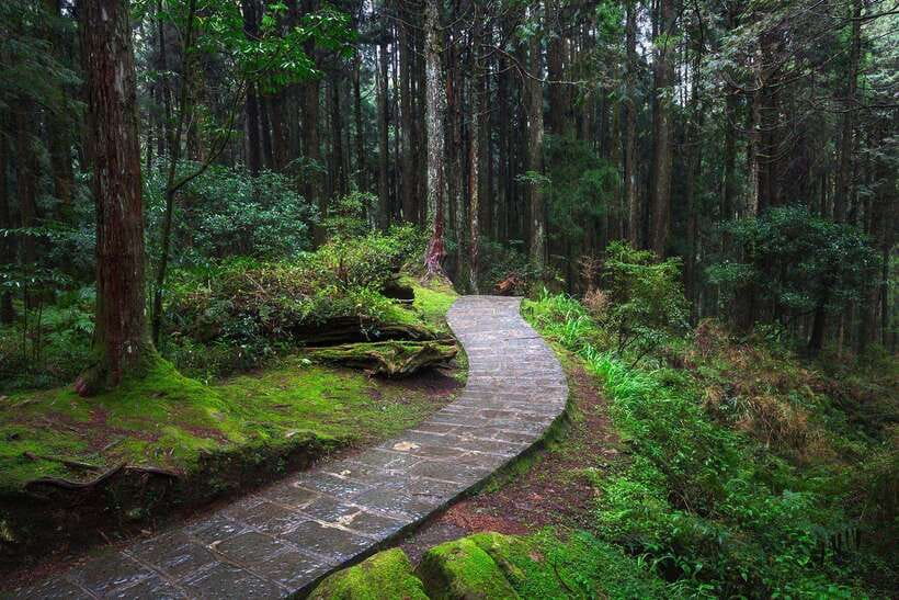 From Taipei City: 3-Day Sun Moon Lake & Alishan Private Tour - Taipei to Sun Moon Lake, with the long road handled for you