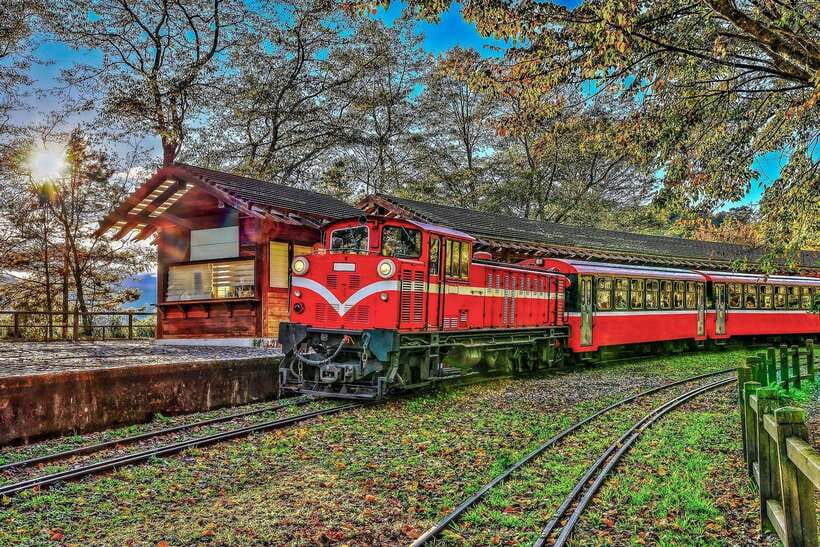 From Taipei City: 3-Day Sun Moon Lake & Alishan Private Tour - The Alishan Forest Railway experience