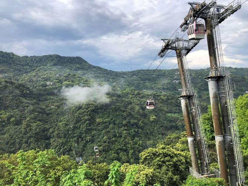 From Taipei: Pinglin Tea Culture and Maokong Guided Day Tour - Key points at a glance