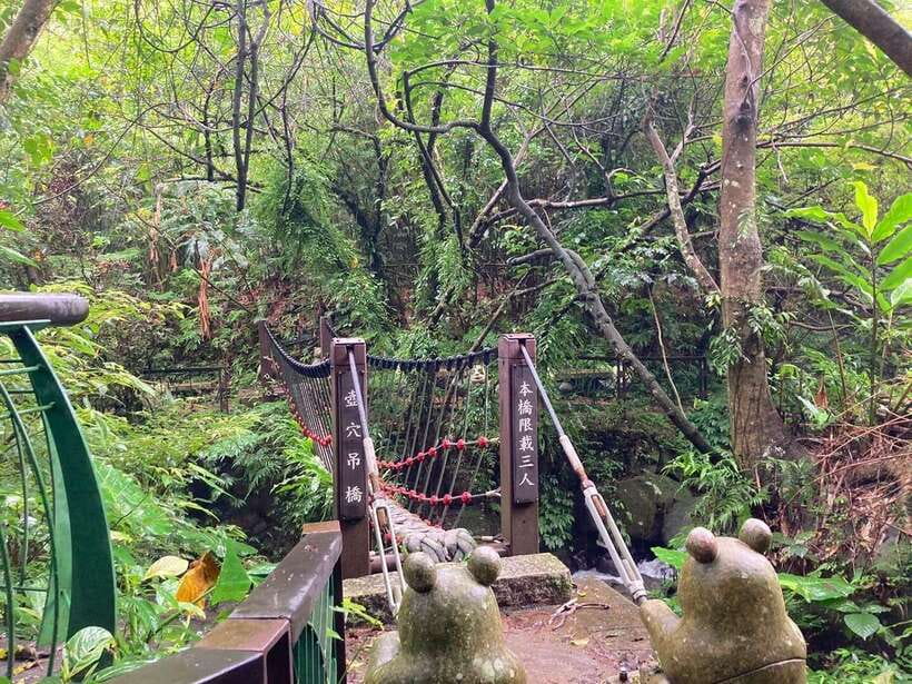 From Taipei: Pinglin Tea Culture and Maokong Guided Day Tour - Is $65 good value?