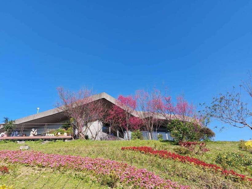 From Taipei: Pinglin Tea Culture and Maokong Guided Day Tour - Tea Promotion Center and Maokong lunch