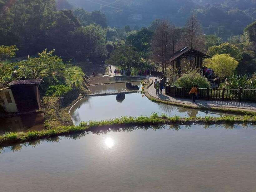 From Taipei: Pinglin Tea Culture and Maokong Guided Day Tour - Thousand Island Lake in Shiding