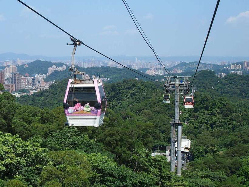 From Taipei: Pinglin Tea Culture and Maokong Guided Day Tour - Pinglin Tea Museum and the story behind the cup