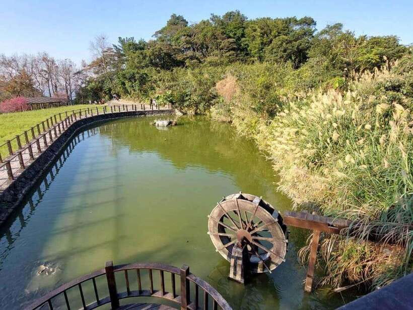 From Taipei: Pinglin Tea Culture and Maokong Guided Day Tour - Pinglin Old Street and the ride back