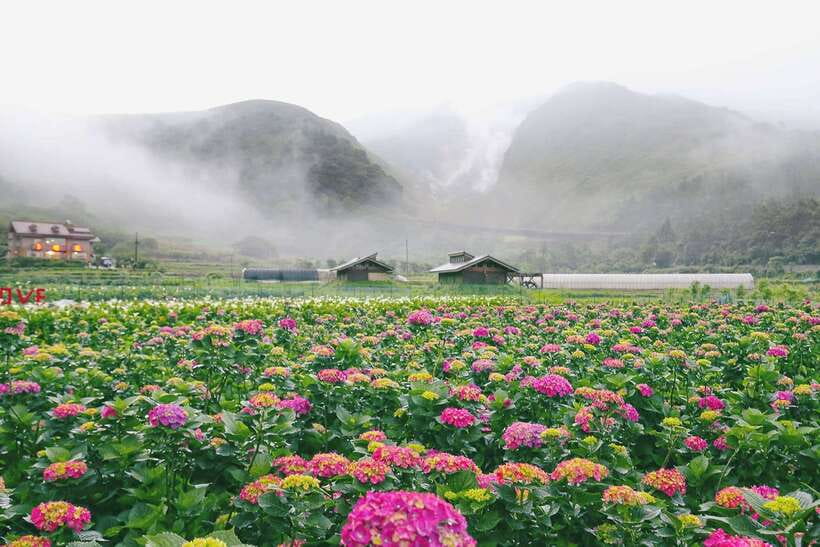 From Taipei: Private Yangmingshan Volcano and Nature Tour - Key points at a glance