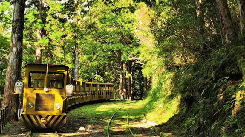 From Taipei: Taipingshan National Forest Private Day Tour - Why Taipingshan makes a strong escape from Taipei