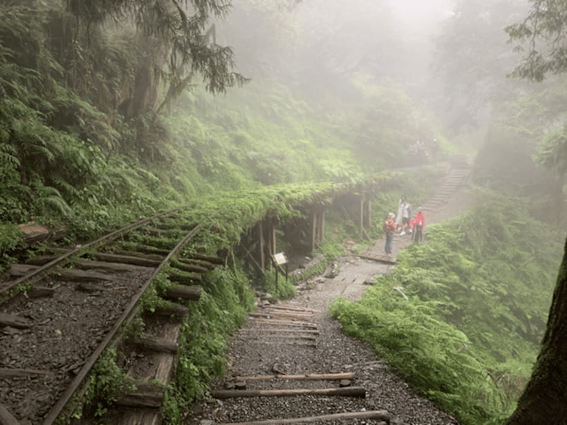 From Taipei: Taipingshan National Forest Private Day Tour - Jianqing Huaigu Trail: a short walk with a strong sense of place