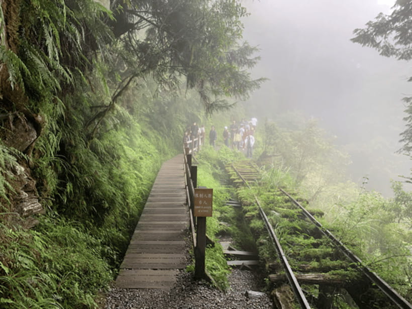From Taipei: Taipingshan National Forest Private Day Tour - The long ride from Taipei, made easier by a private car