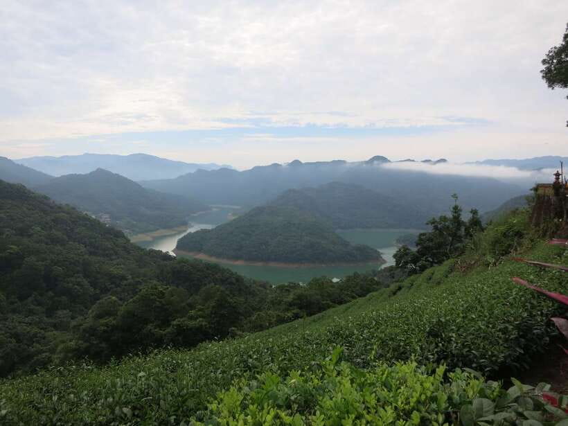 From Taipei: Thousand Island Lake and Pinglin Tea Plantation - Who should book this outing?