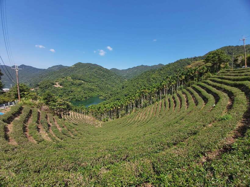 From Taipei: Thousand Island Lake and Pinglin Tea Plantation - Why this half-day trip works from Taipei
