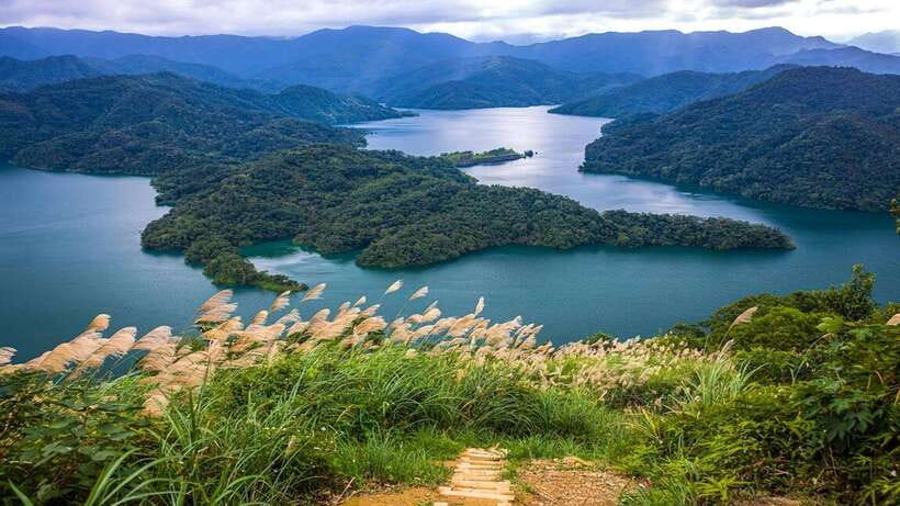From Taipei: Thousand-Island Lake & Tea Museum Private Tour - Tea fields at Bagua Tea Plantation