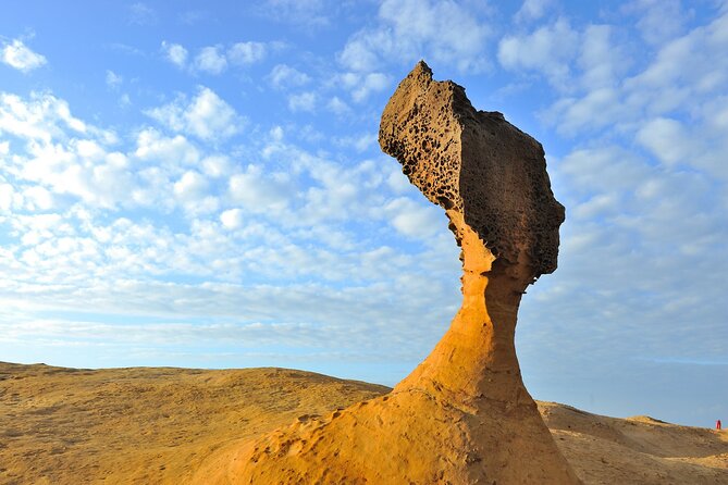 Full-Day Private Tour in Northern Taiwan - Yehliu Geopark and its unusual coastal rocks