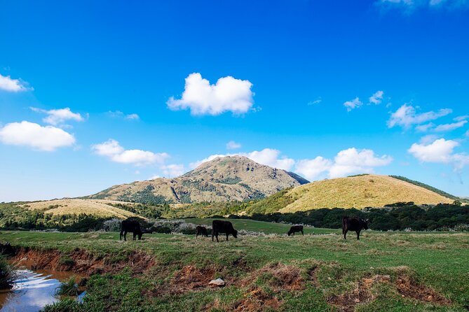 Full-day Tour in Yangmingshan & Beitou from Taipei (Small Group) - Leaving Taipei for Yangmingshan’s volcanic hills