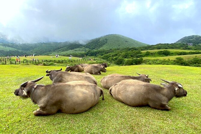 Full-day Tour in Yangmingshan & Beitou from Taipei (Small Group) - Sulfur Valley, the day’s clearest volcanic experience