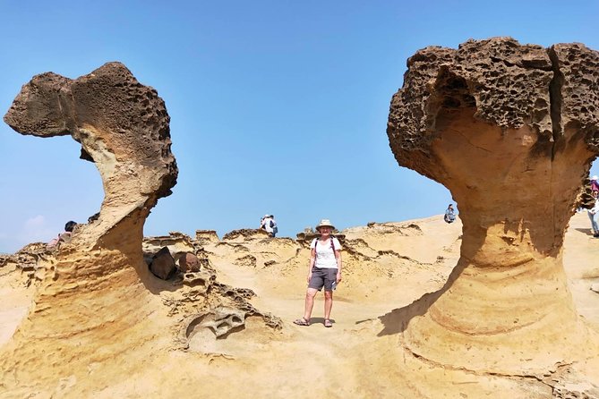 Half Day Private Tour to Yangmingshan National Park and Yehliu Geopark - Key points to know before booking