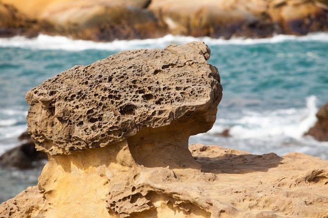 Half Day Private Tour to Yangmingshan National Park and Yehliu Geopark - What the private guide changes