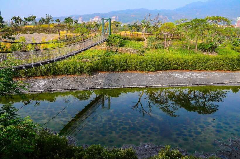 Kaohsiung: Private Walking Tour with a Local - Meeting points need careful attention