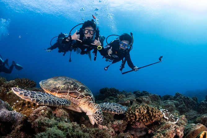 Kenting, Taiwan|PADI Basic Diving License Course|Taiwan Diving Open Water Course - Day 2: your first marine sessions