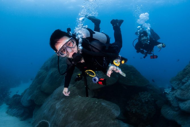 Kenting, Taiwan|PADI Basic Diving License Course|Taiwan Diving Open Water Course - English instruction and coaching style
