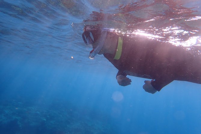 Kenting, Taiwan|Snorkeling Free underwater photography One-on-one with instructor|Taiwan Diving Snorkeling - The return to the shop and completion certificate
