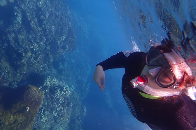 Kenting, Taiwan|Snorkeling Free underwater photography One-on-one with instructor|Taiwan Diving Snorkeling - Who should book this snorkeling session?