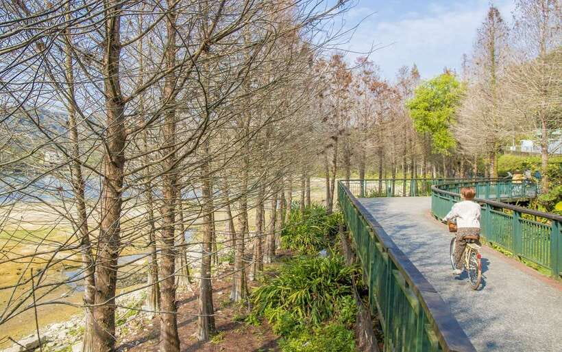 Nantou: Sun Moon Lake Combo - Key points to know before you book