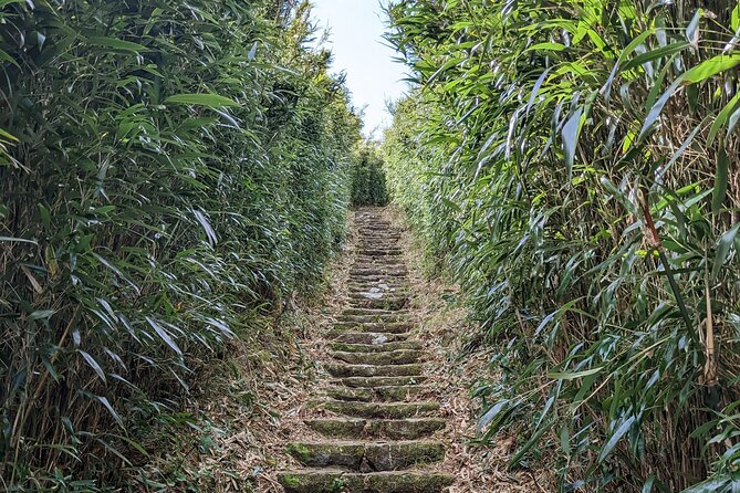 One Day Hike around Taipei's Yangmingshan National Park - What the $140 Price Covers
