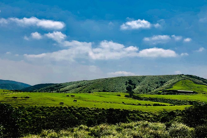 One-day private chartered car tour in Taipei: Yehliu, Jiufen, Pingxi, North Coast popular attractions with chartered car, professional Chinese/English driver - What the $307.70 price really buys