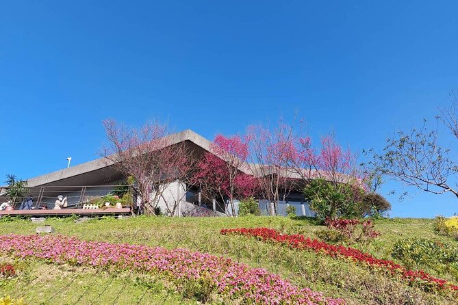 Pinglin Tea Culture & Maokong Day Tour from Taipei - Elephant Mountain and the final Taipei view