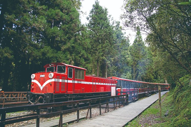 Private 3-Day Tour to Sun Moon Lake and Alishan - Day 2: Alishan’s forest roads and ancient trees