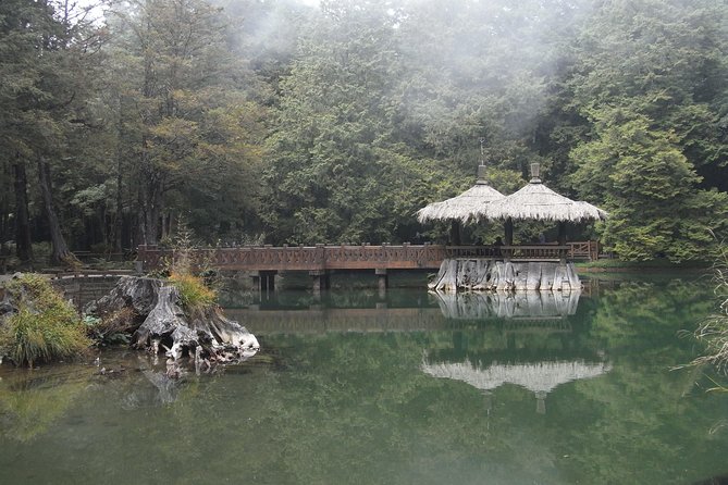 Private 3-Day Tour to Sun Moon Lake and Alishan - Final call: a strong shortcut into Taiwan’s mountains