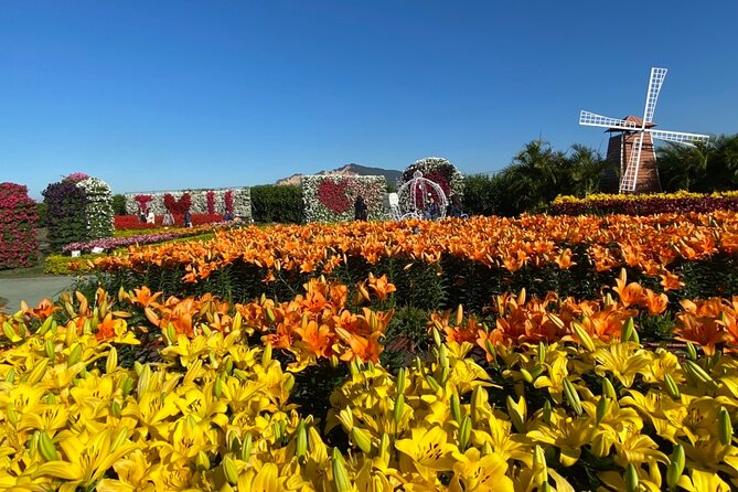 Private Taichung Instagram Day Tour from Taipei - Food, cash, and what you need to bring
