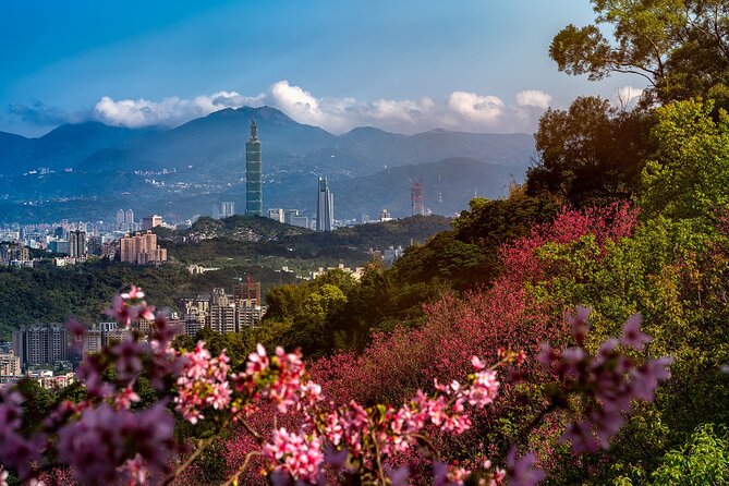 Private Tour: Taipei Timeless Treasures Tour (The Best of Taipei) - Key points to know before booking