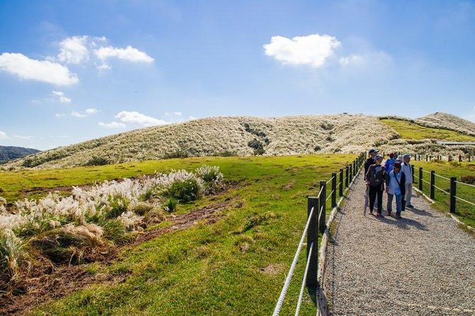 Private Yangmingshan & Beitou Tour from Taipei with Pickup - Beitou Hot Spring Museum and the public library